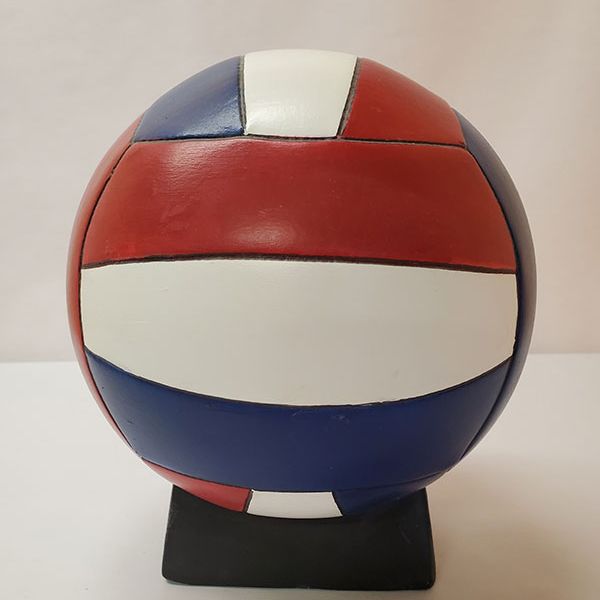 volleyball123-1-6783b1a433-25c6-a006-8180-f0a352ff0dc77FA85B79-D356-2A04-8293-E33180FA18F0.jpg